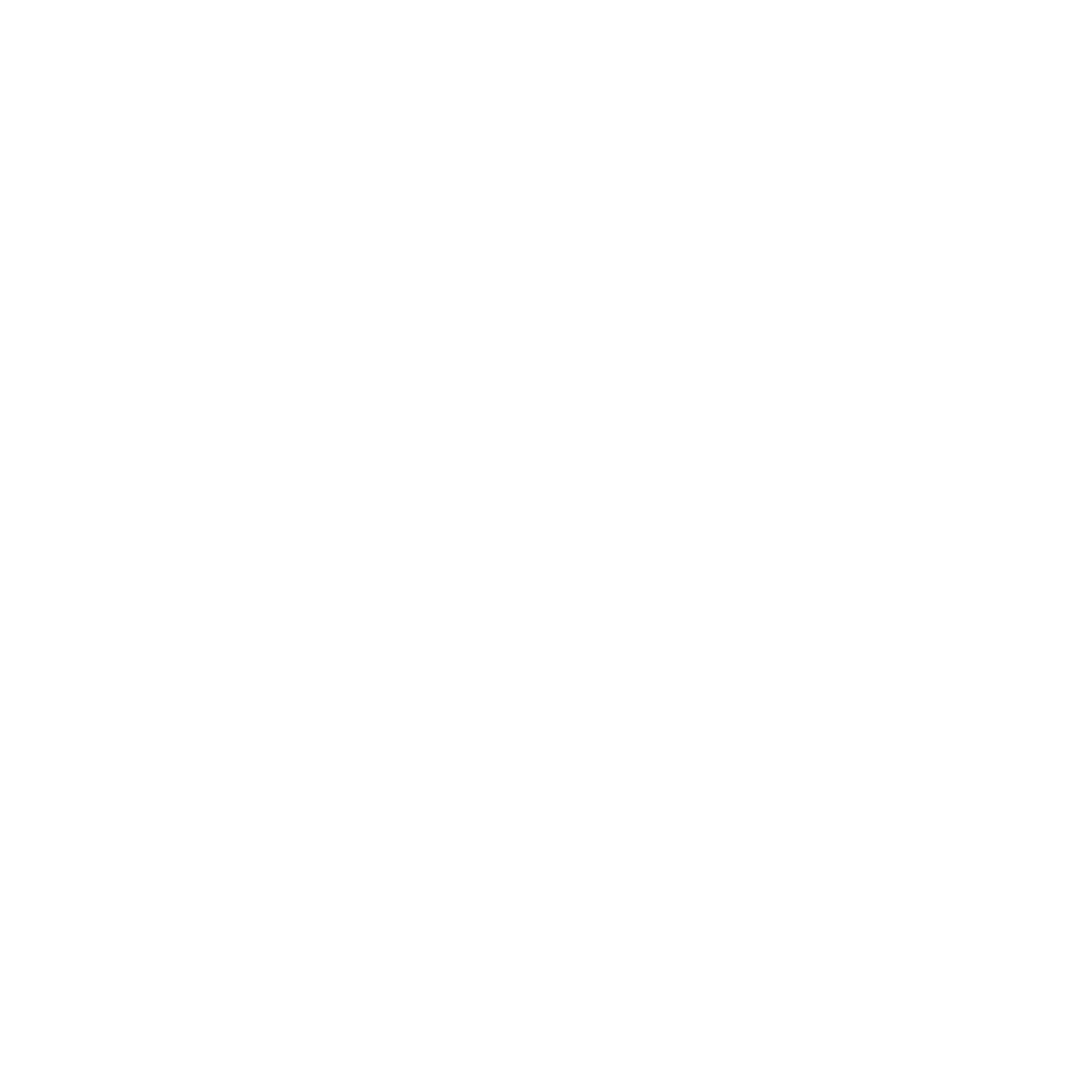 Counter Culture Store Logo