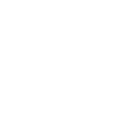 Counter Culture Store Logo