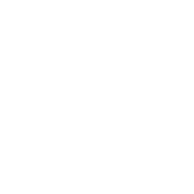 Counter Culture Store Logo